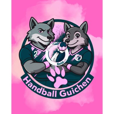 Handball Guichen
